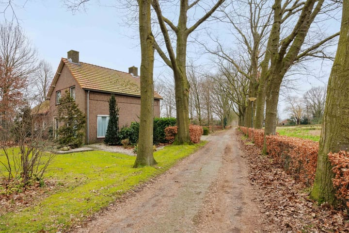 Foto 2 van Weerscheut 20