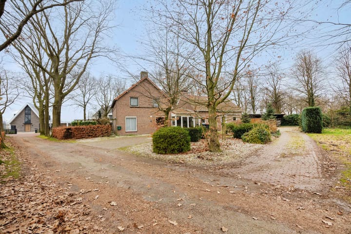 Foto 3 van Weerscheut 20