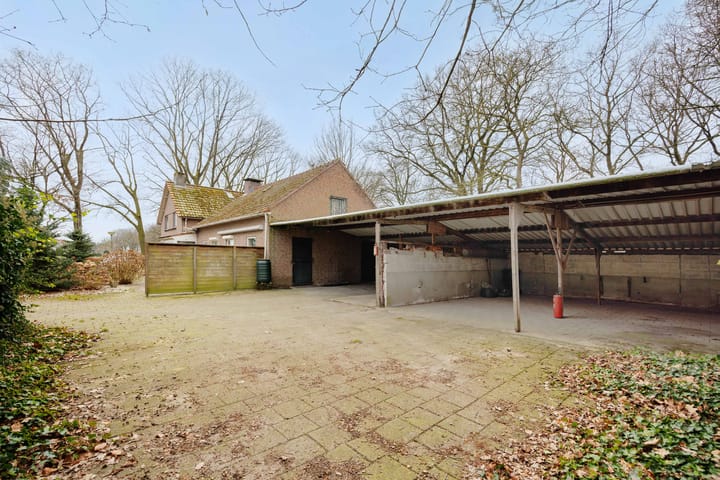 Foto 6 van Weerscheut 20