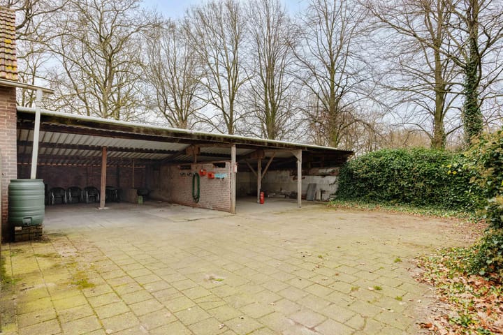 Foto 5 van Weerscheut 20