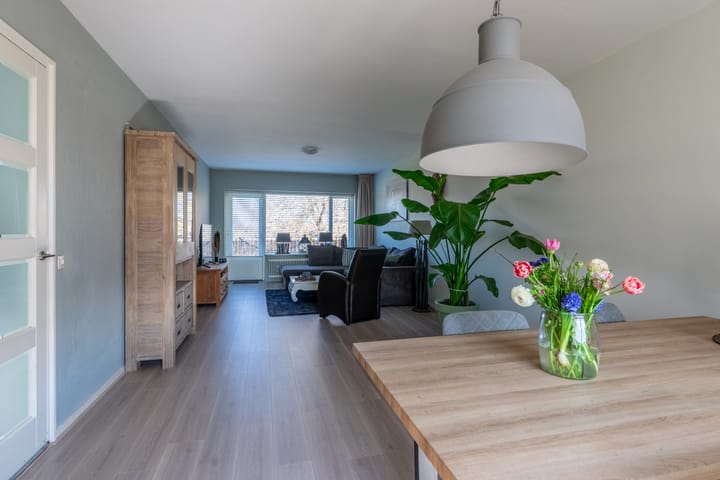 Foto 2 van Aert van Neslaan 323