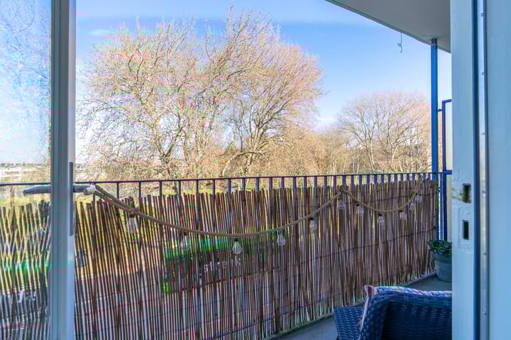 Foto 5 van Aert van Neslaan 323