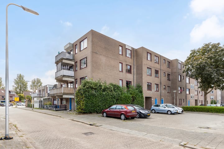 Ringspoor 152