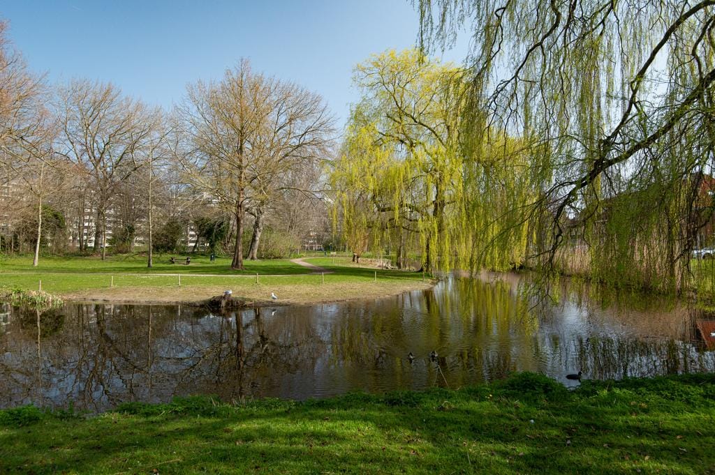 Foto 31 van Jan Luykenlaan 255