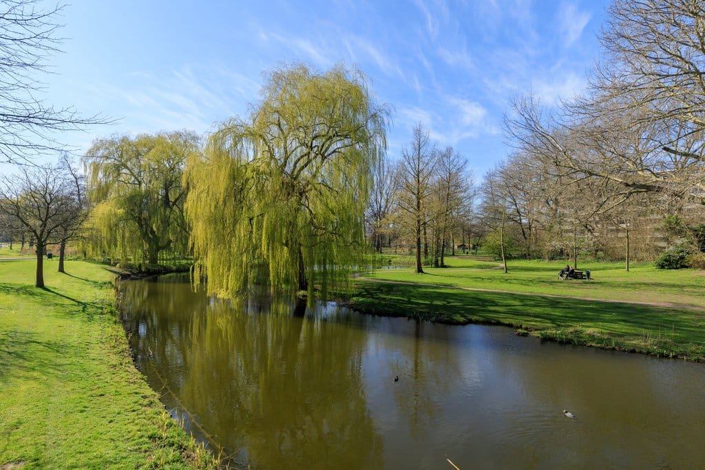 Foto 33 van Jan Luykenlaan 255