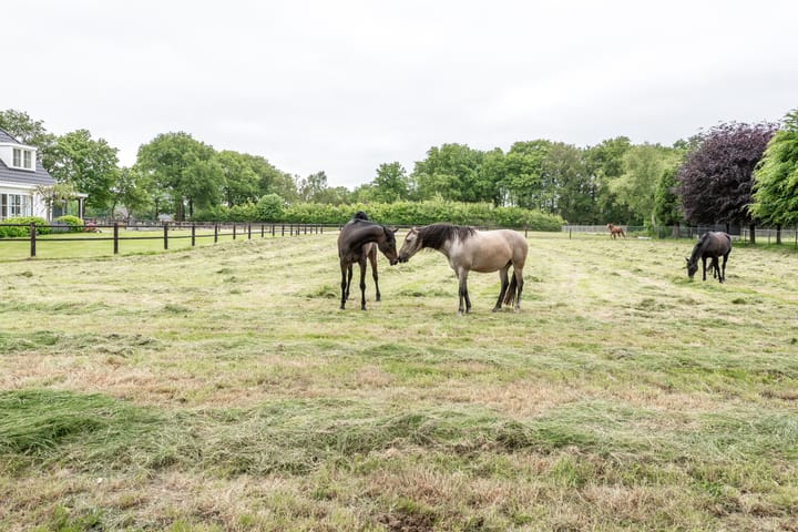 Foto 66 van Garderbroekerweg 48