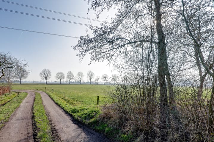 Foto 3 van Looveen 22