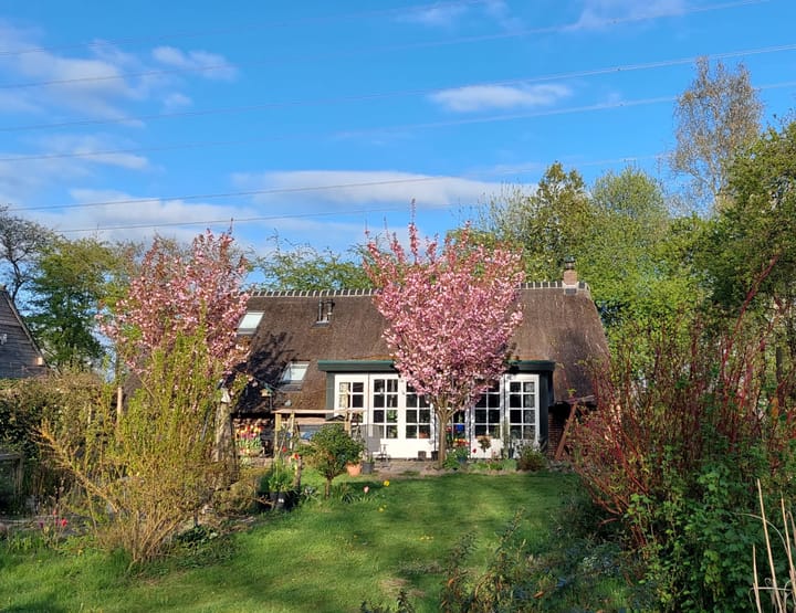 Foto 1 van Looveen 22