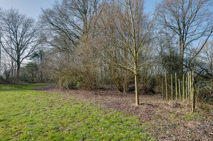 Foto 30 van Looveen 22