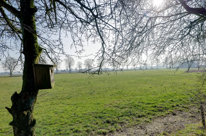 Foto 34 van Looveen 22