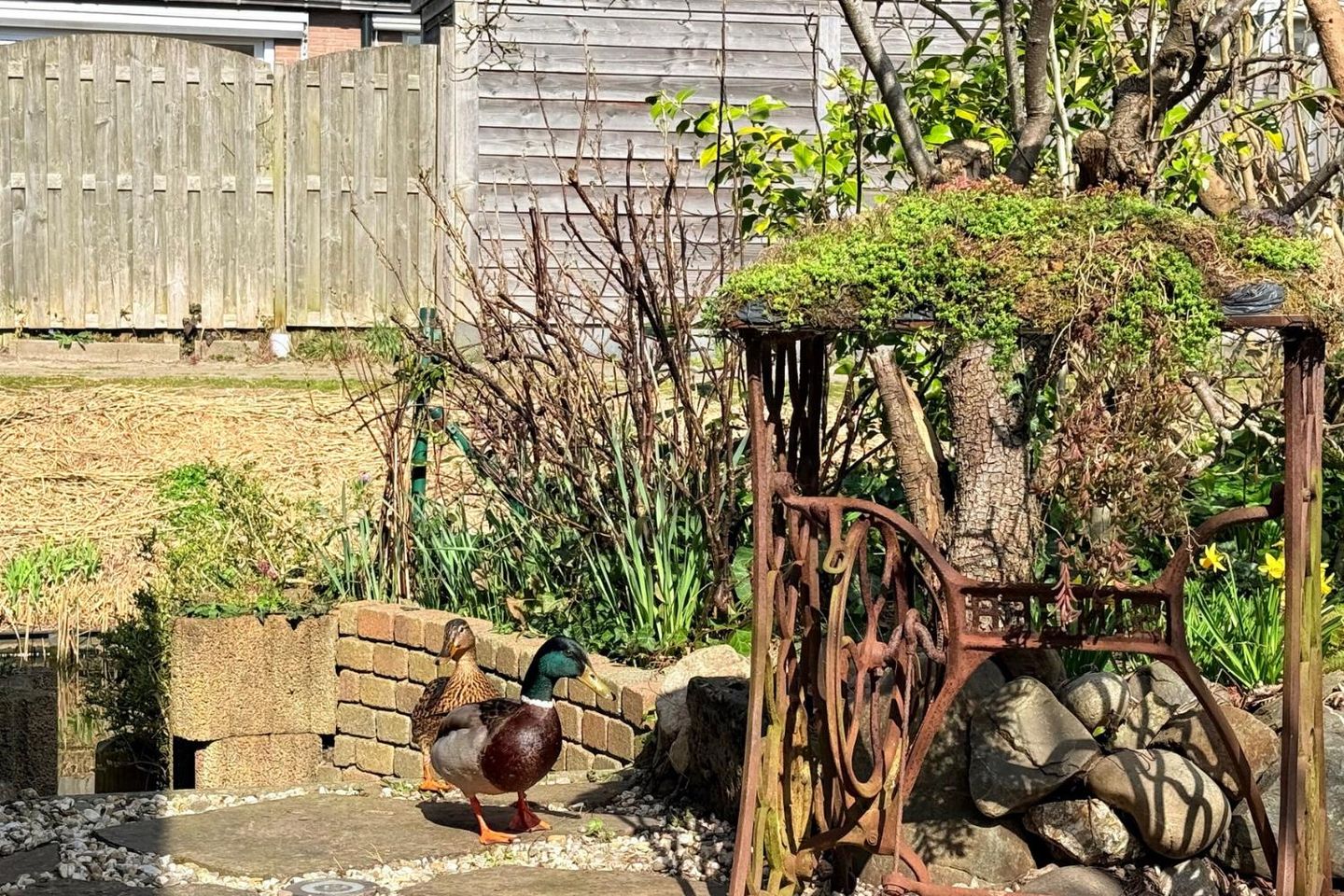 Foto 14 van Schouw 15