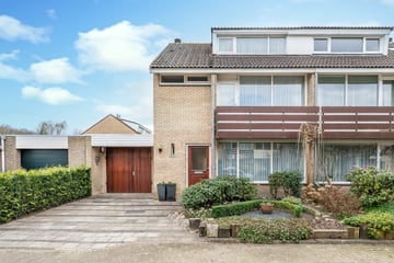 Mercuriusstraat thumbnail