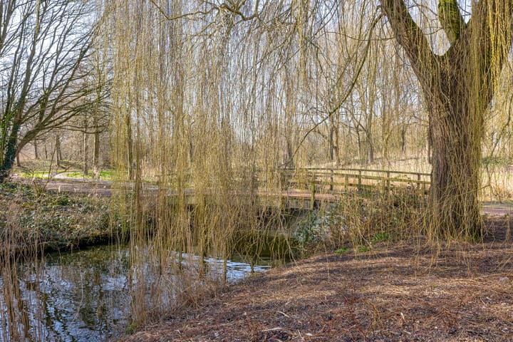 Foto 38 van Rigoletto 81