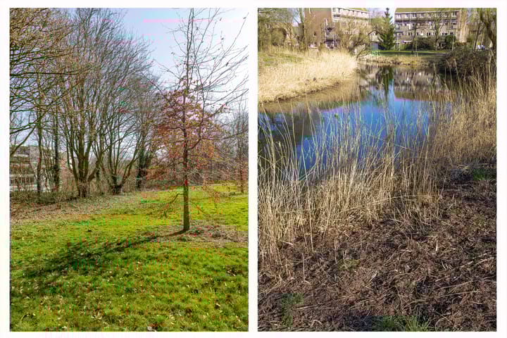 Foto 39 van Rigoletto 81