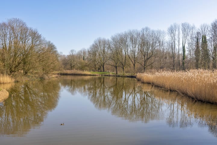 Foto 41 van Rigoletto 81