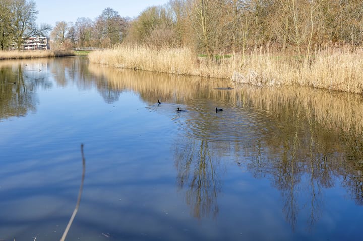 Foto 42 van Rigoletto 81