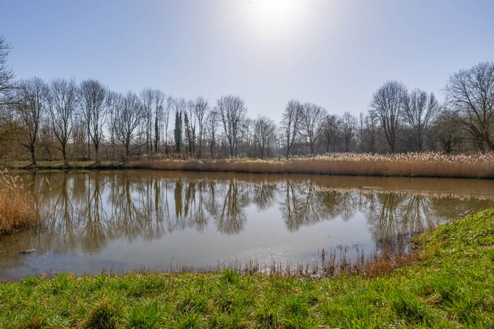 Foto 44 van Rigoletto 81