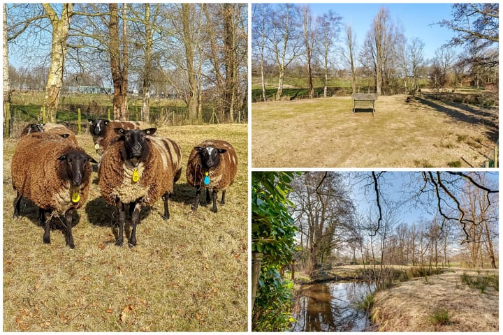 Foto 41 van Kastanjelaan 9