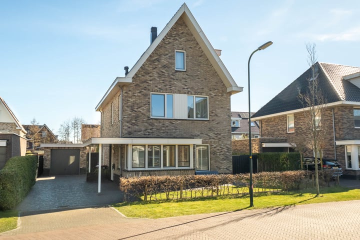 Haagbeuk 42