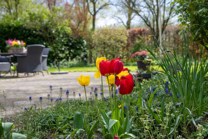 Photo 15 of Rijkerswoerdsestraat 5-A