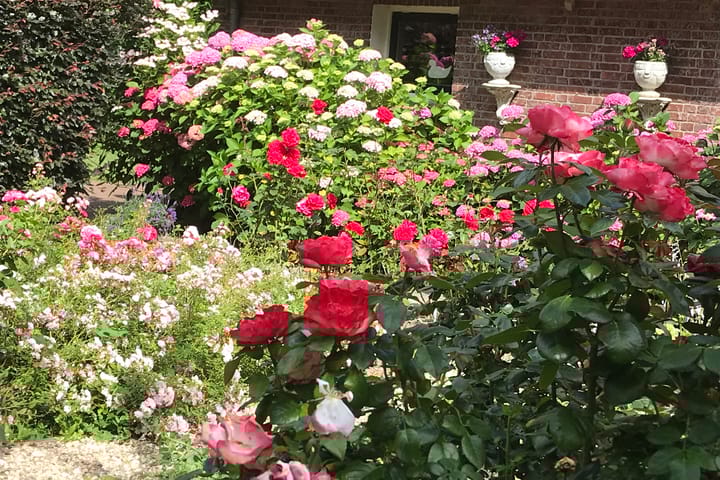 Photo 16 of Rijkerswoerdsestraat 5-A