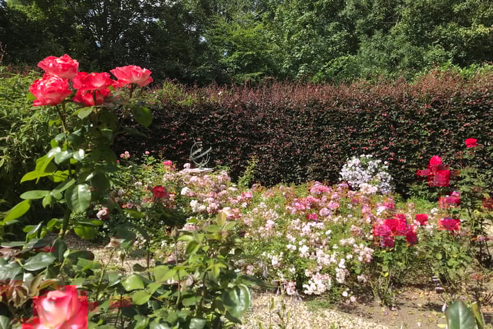 Photo 17 of Rijkerswoerdsestraat 5-A