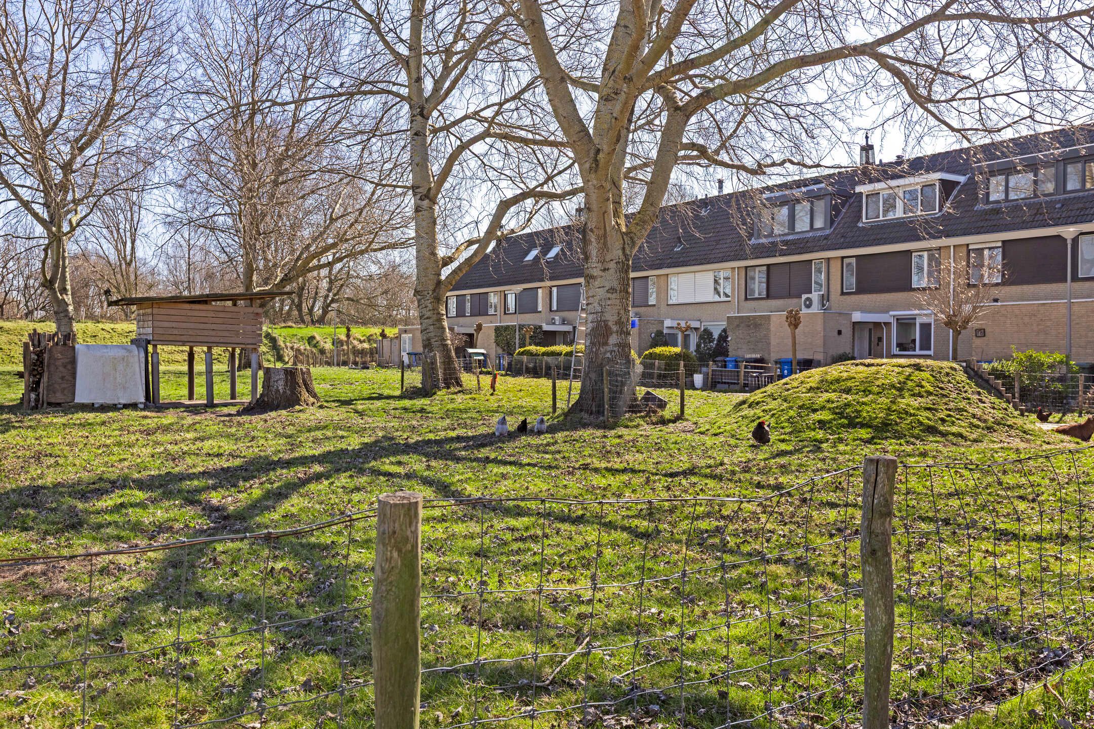 Photo 24 of Heermoes 17