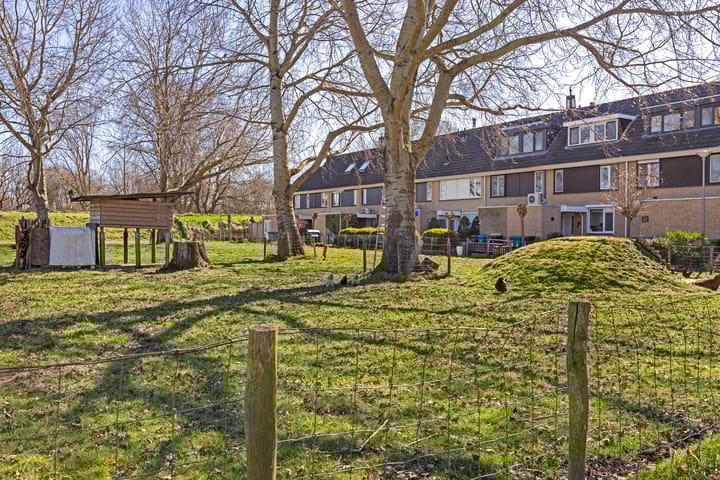 Photo 24 of Heermoes 17