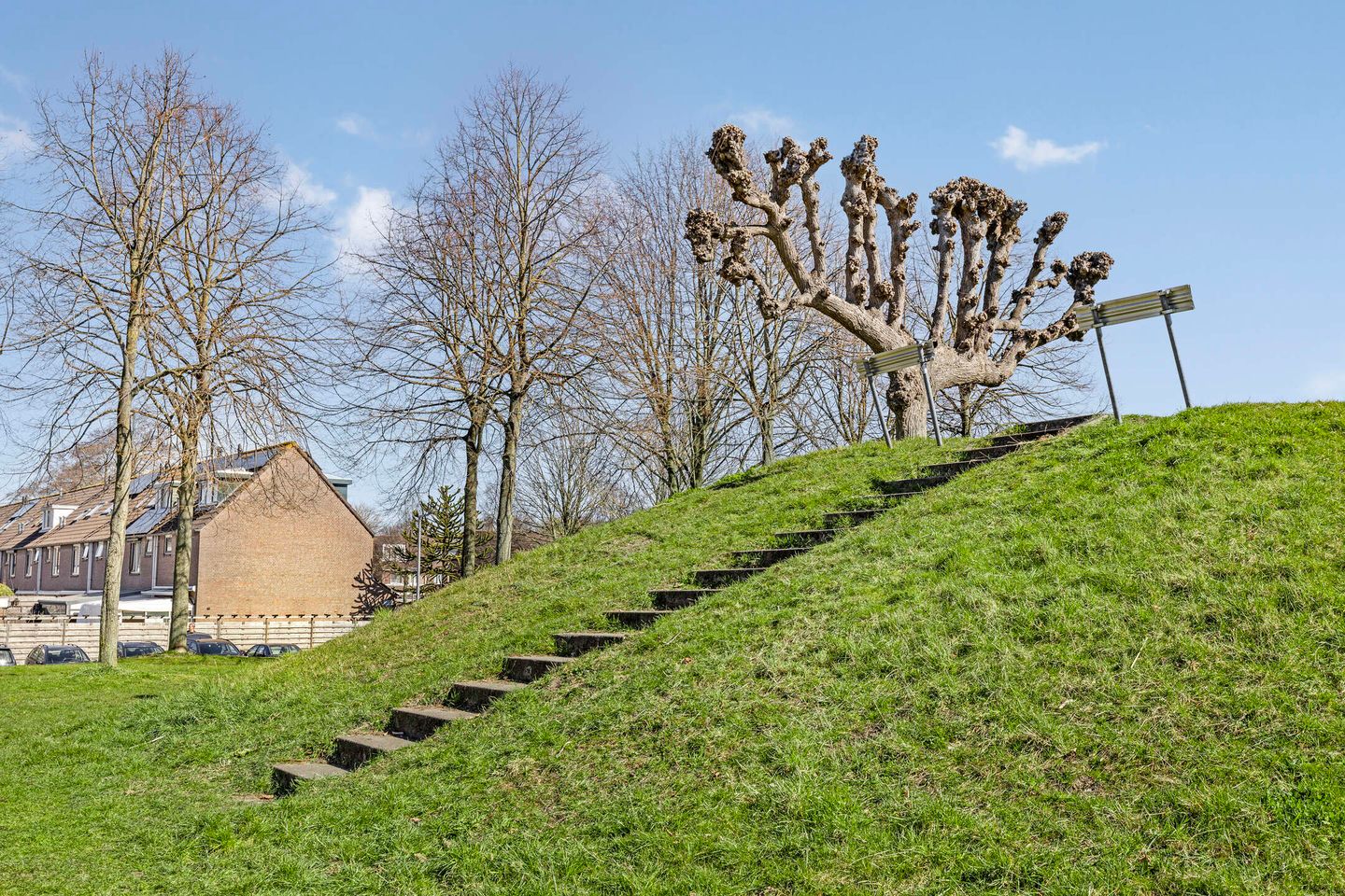 Photo 25 of Heermoes 17