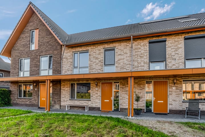 Foto 1 van de Horde 3