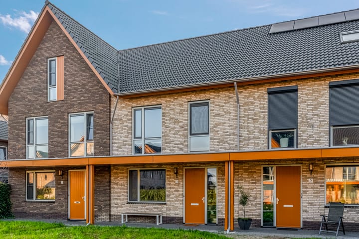 Foto 7 van de Horde 3