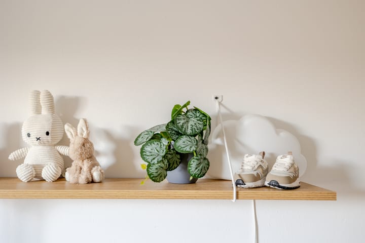 Foto 30 van De Krommert 97