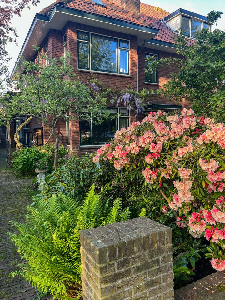 Foto 48 van Laan van Leeuwesteyn 29