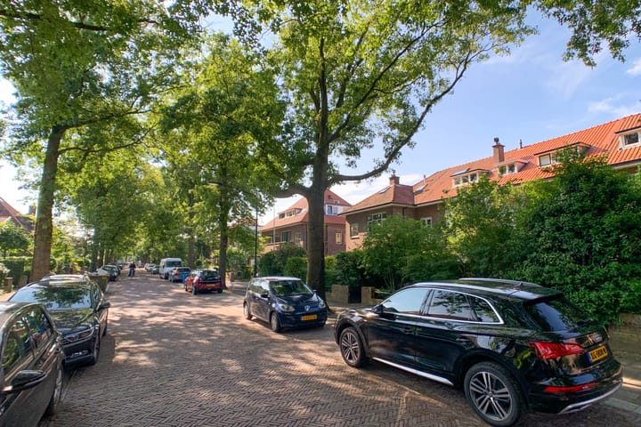 Foto 49 van Laan van Leeuwesteyn 29