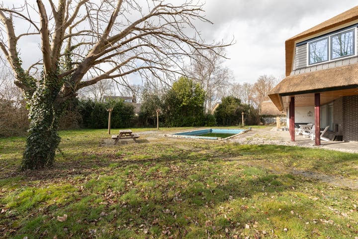 Foto 42 van Molenberg 12