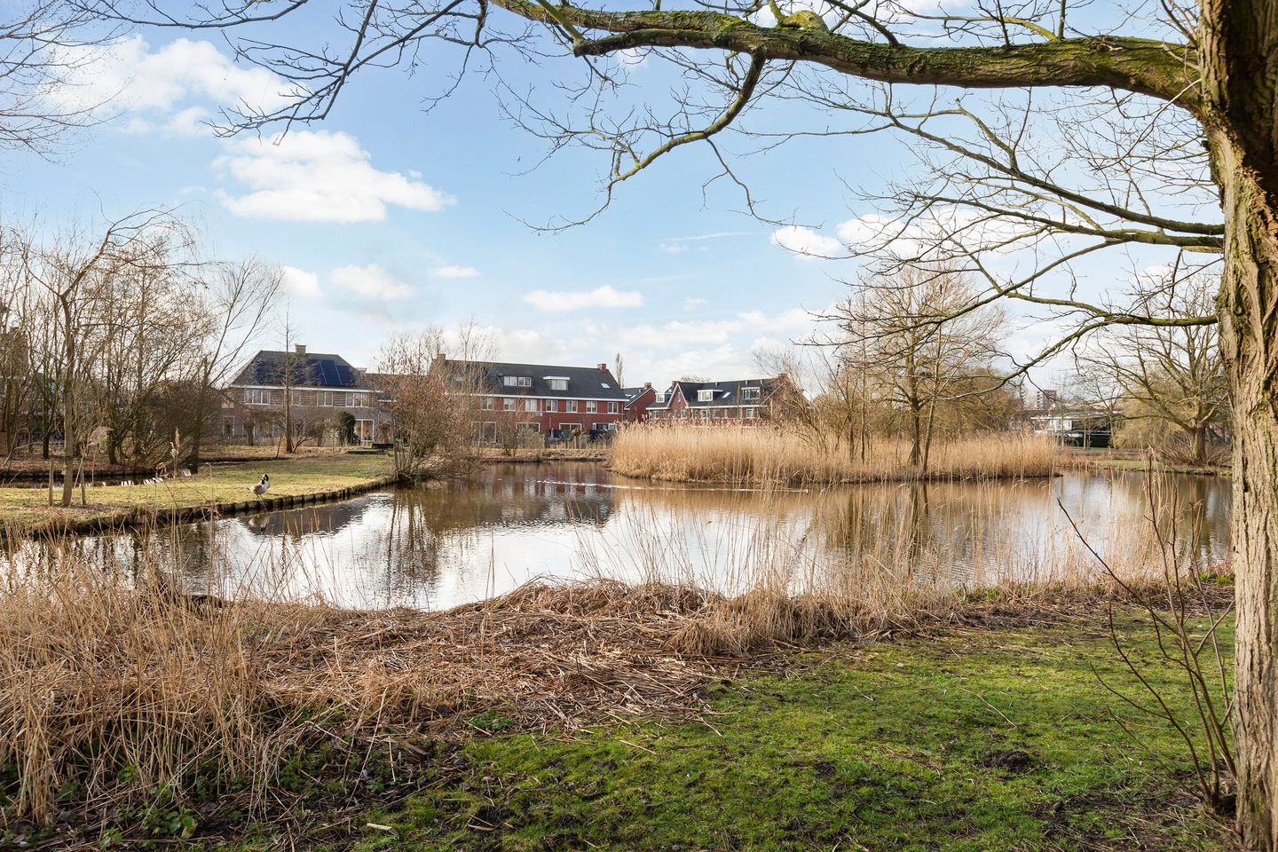 Foto 35 van Kievitslaan 33