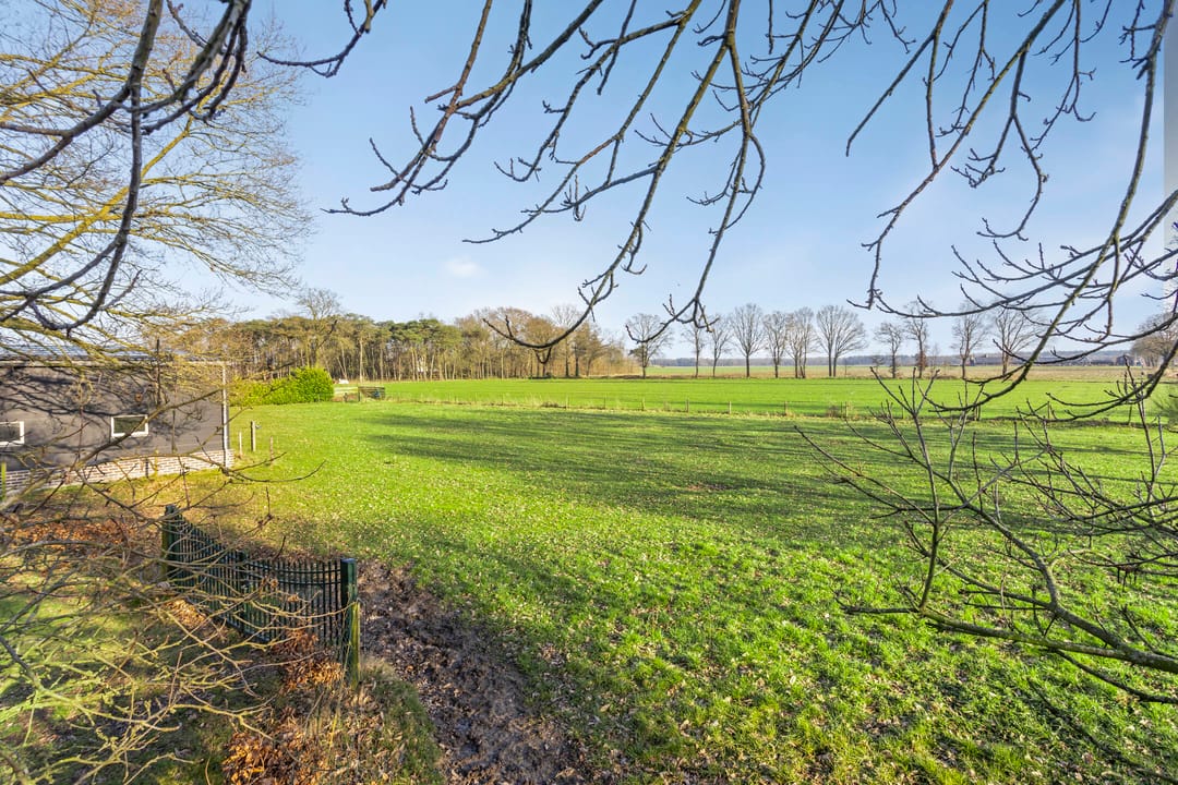 Foto 121 van Achterbos 6