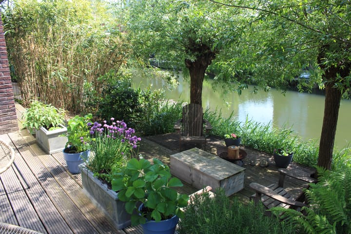 Foto 2 van Weesmeesterstraat 17