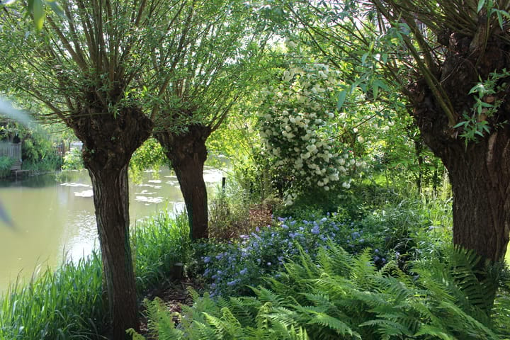 Foto 24 van Weesmeesterstraat 17