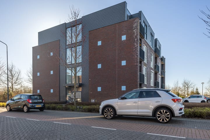 Foto 2 van Muntmeester 225