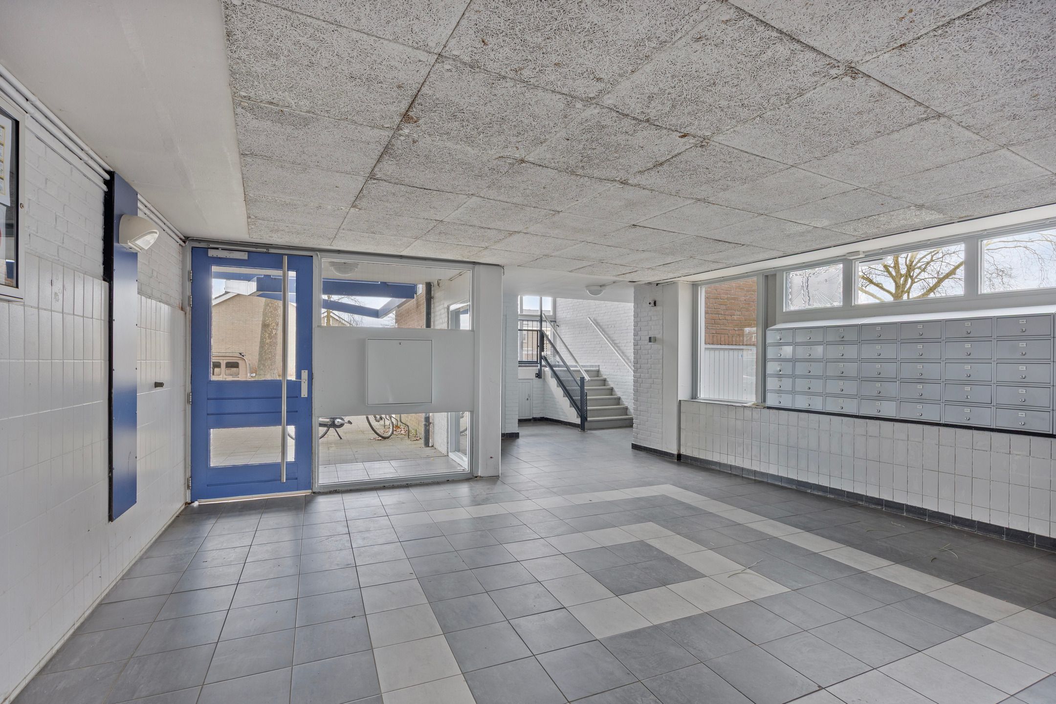 Photo 33 of Orionsingel 362