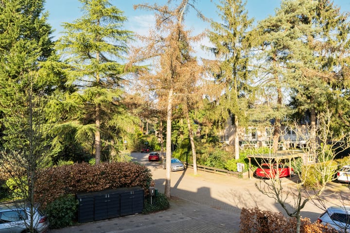 Foto 38 van Evert Cornelislaan 10