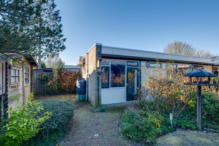 Foto 19 van de Maat 11