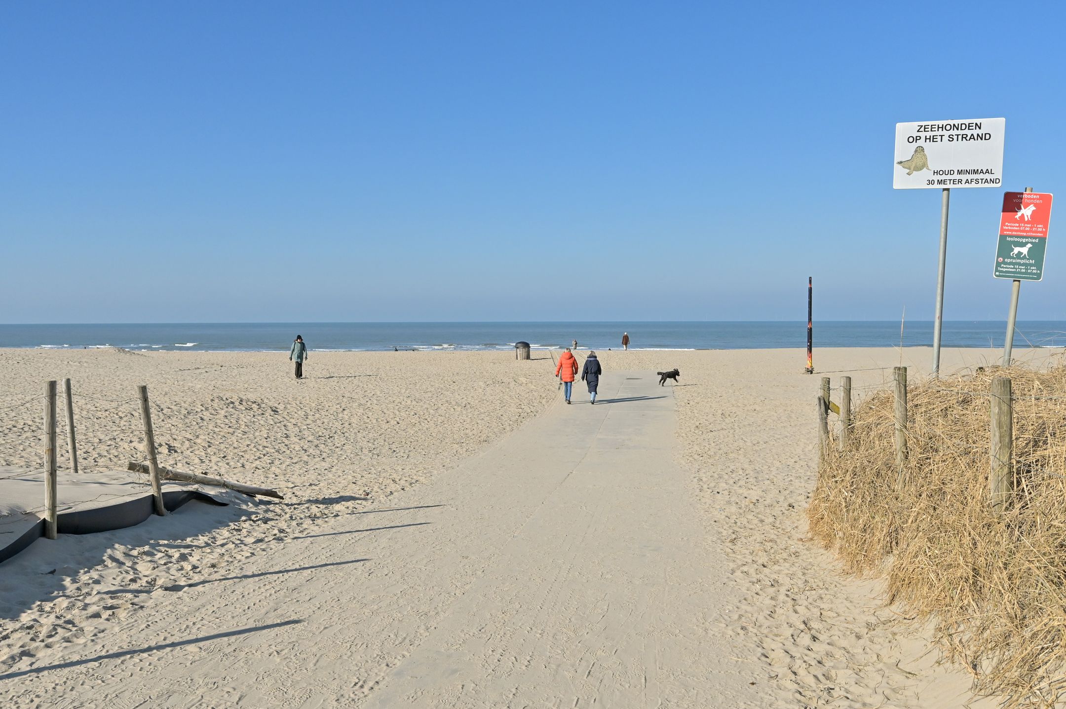 Photo 51 of Van Boetzelaerlaan 121