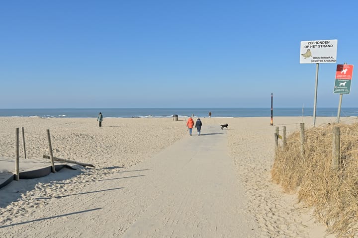 Foto 51 van Van Boetzelaerlaan 121