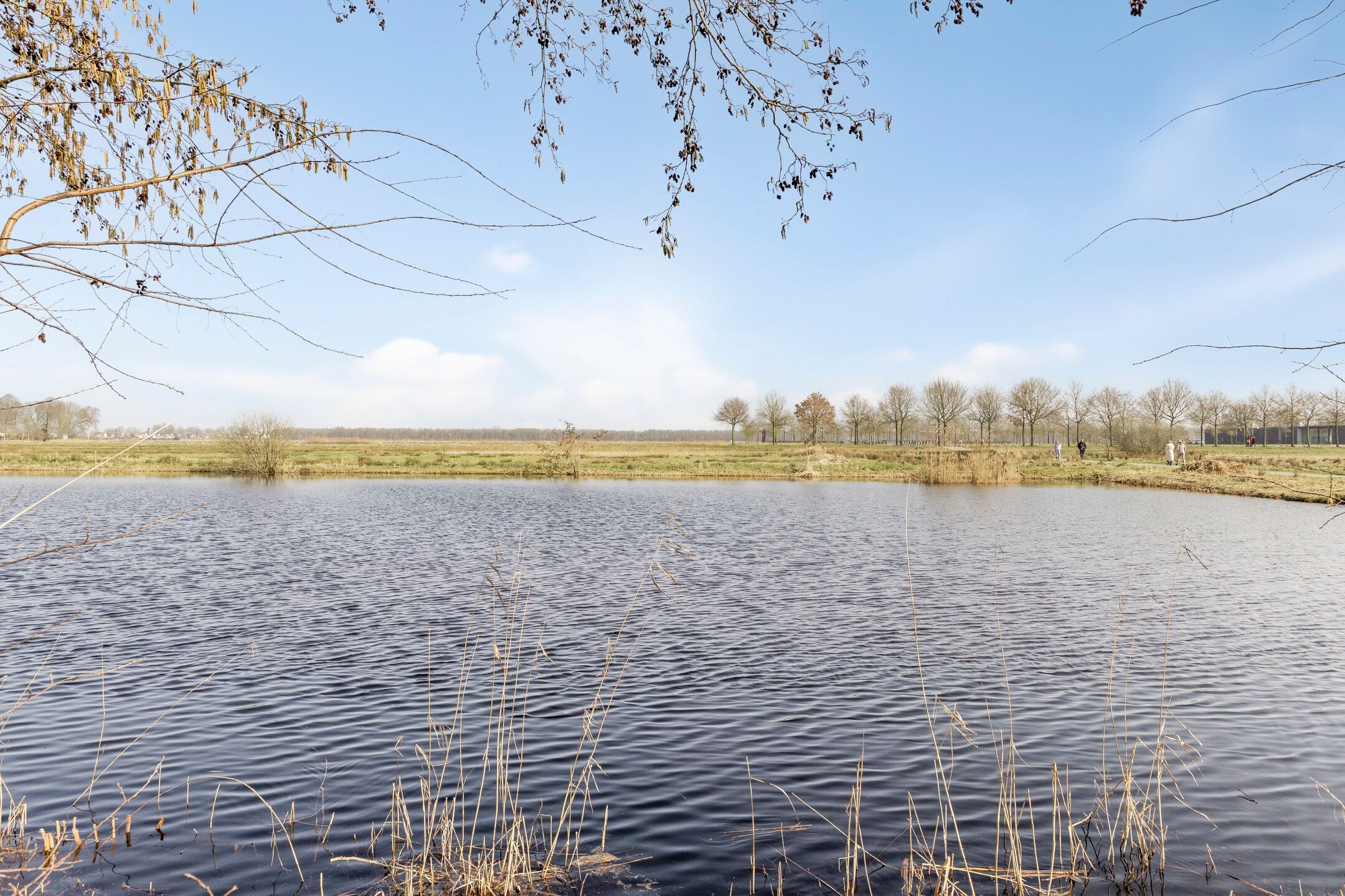 Foto 33 van Regentesselaan 68