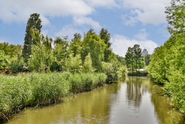 Foto 46 van Linnaeusparkweg 90-H