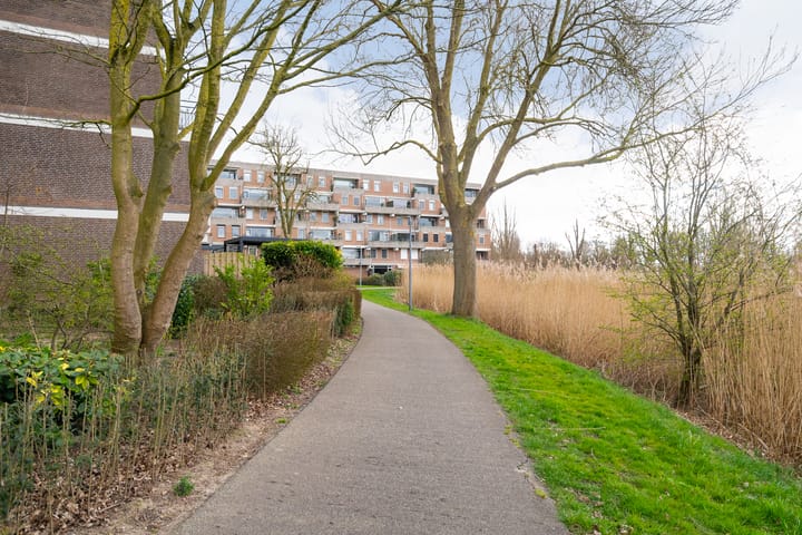 Foto 44 van Haringvlietstraat 119