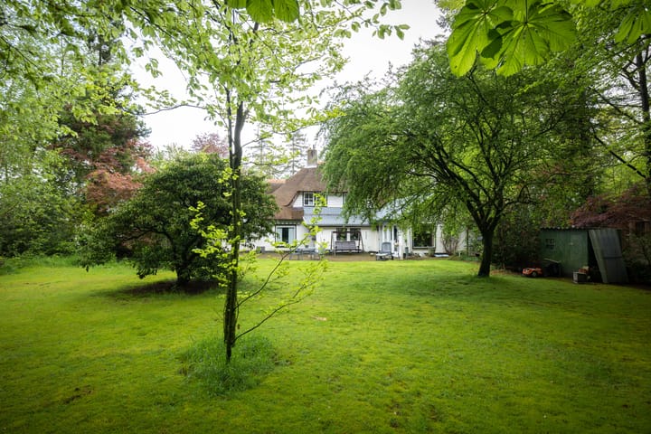 Foto 3 van Ericaweg 39