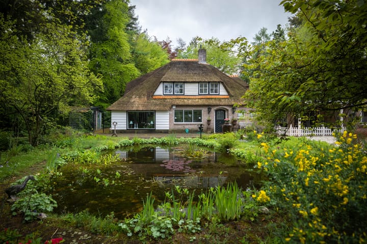 Foto 4 van Ericaweg 39